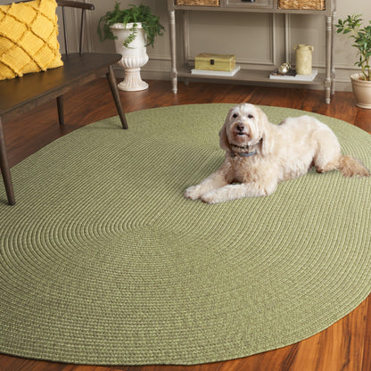 SAFAVIEH Washable Rug Outdoor Braided Collection - 5' x 8' Oval, Sage Green, Handmade & Reversible, Non-Shedding & Easy to Clean, Ideal for Patio, Backyard, Mudroom (BRD317W)