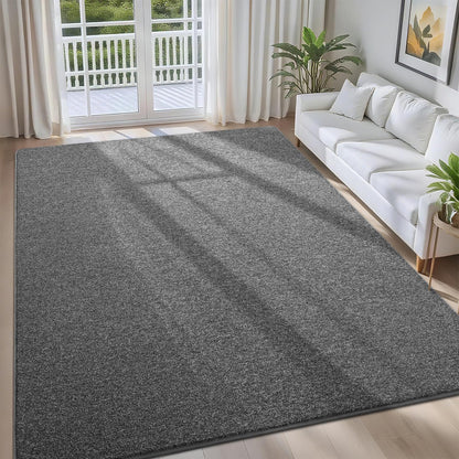 FALARK 4x6 Area Rugs for Bedroom Living Room, Dark Grey Soft Low-Pile Modern Indoor Thickened Memory Foam Non-Slip Washable Carpets for Kids Dorm Home Decor Rug