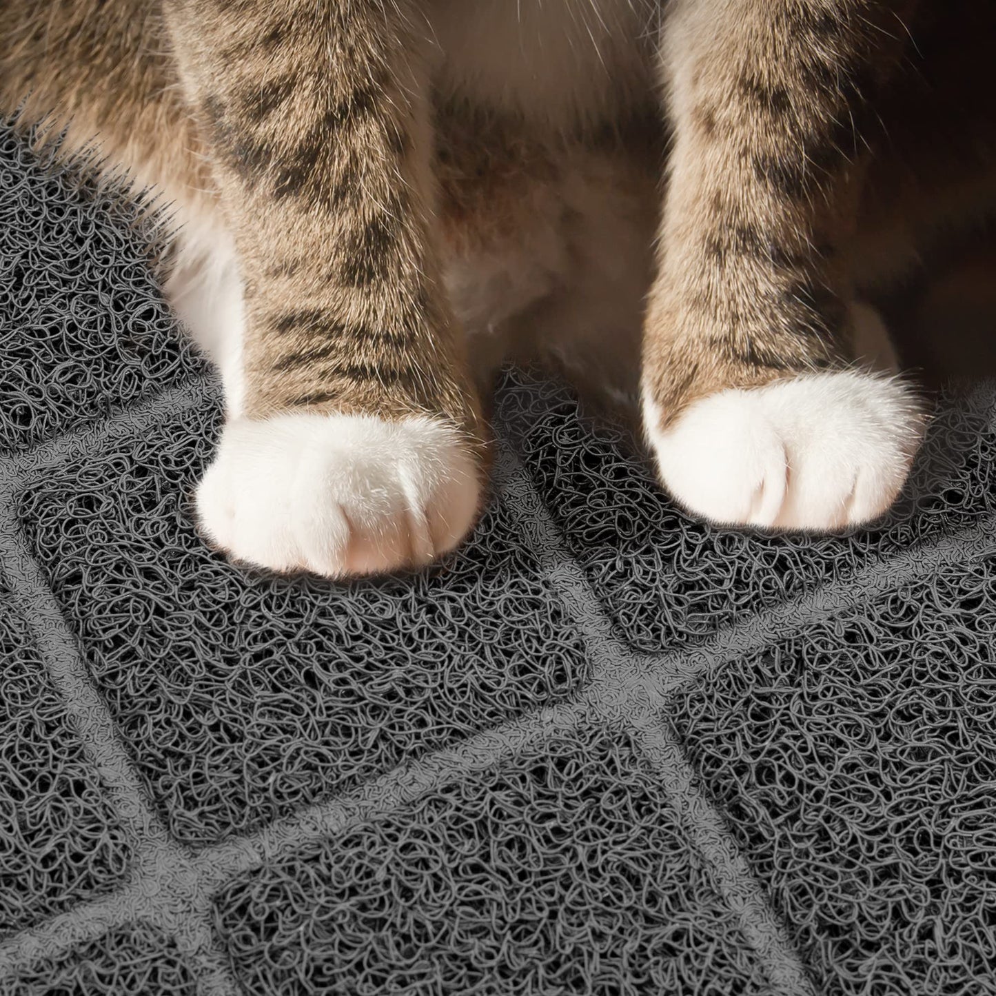 Niubya Premium Cat Litter Mat, 47" Long x 35" Wide, Extra Large Size, Waterproof and Non-Slip Design, Gentle on Paws, Easy to Clean