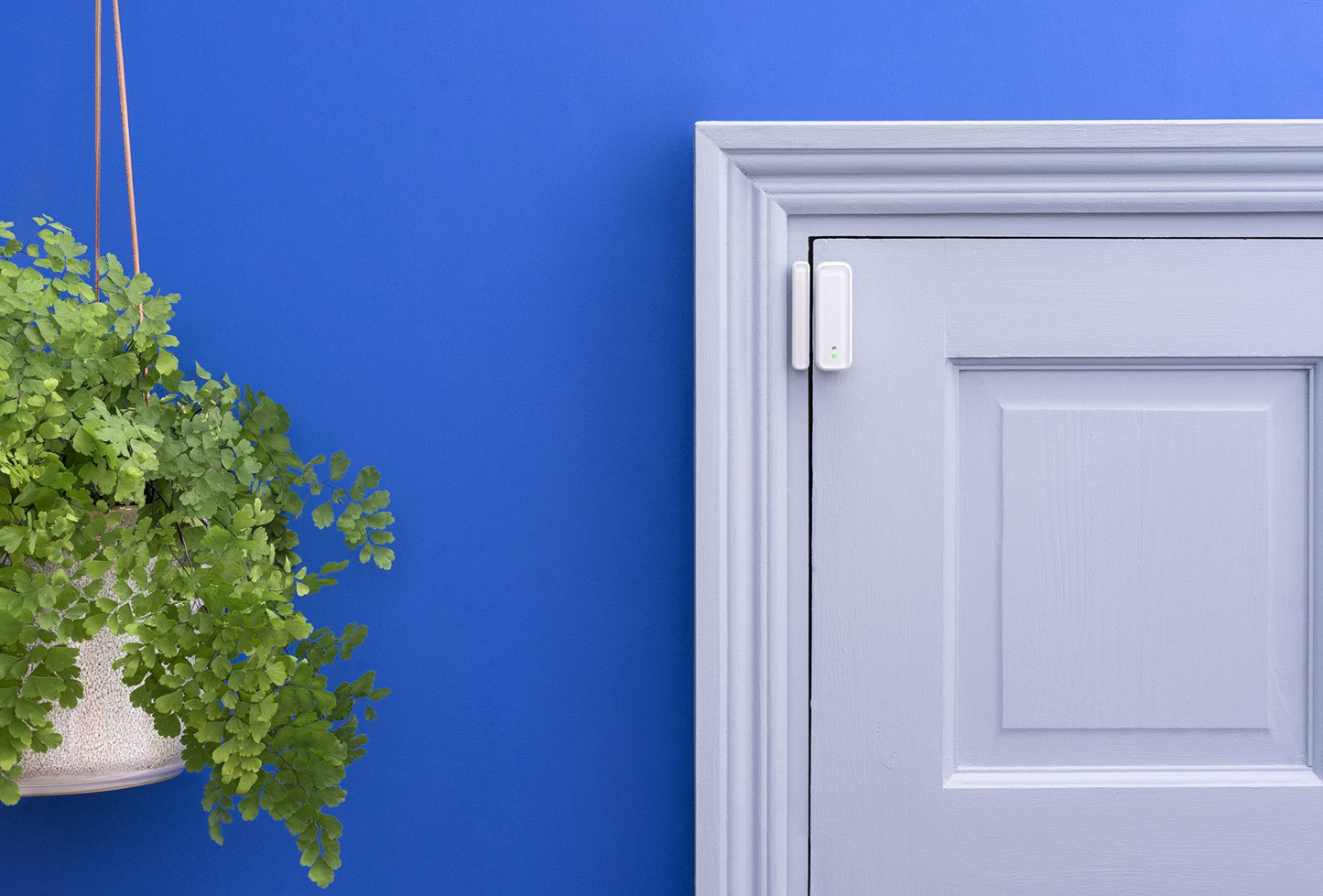Hive Active Plug for Smart Home, Indoor Smart Outlet, Works with Alexa & Google Home, Requires Hive Hub