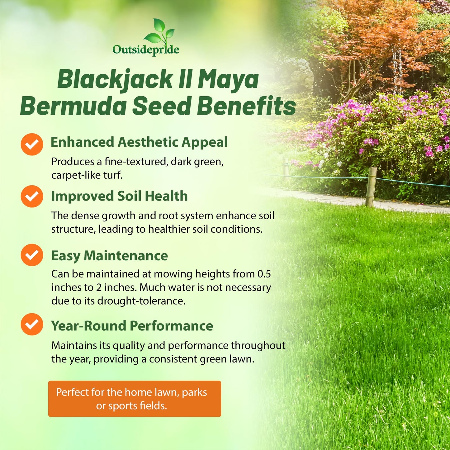 Outsidepride Maya (Blackjack II) Bermuda Grass Seed - 10 lbs Warm Season, Drought Tolerant, Fast Growing, Fine-Textured Bermuda Grass Seeds for Lawn, Parks, Golf Courses & Sports Fields