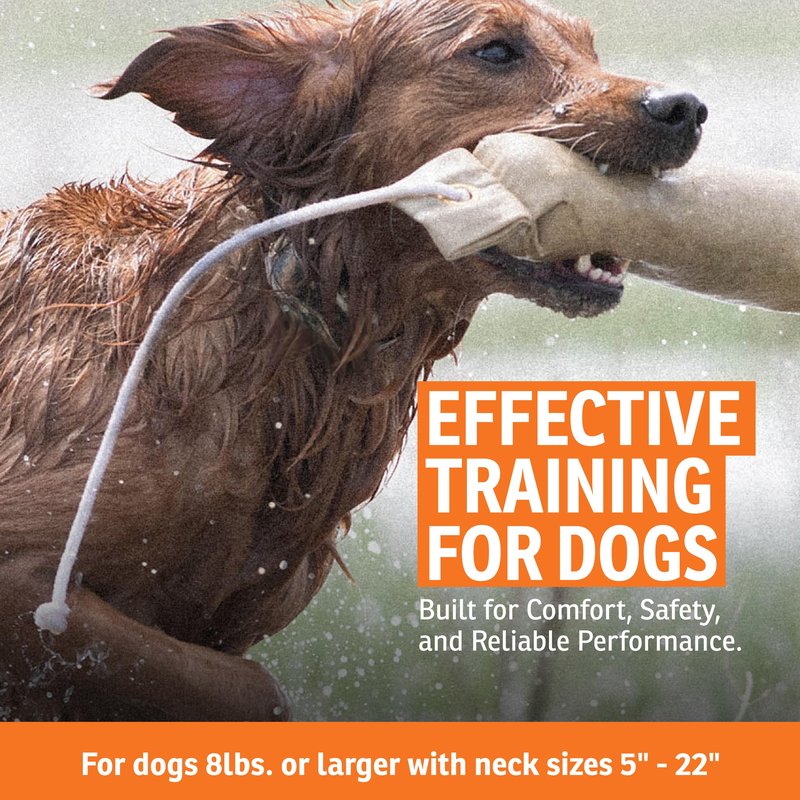 SportDOG WetlandHunter 425X Add-A-Dog Collar - Expandable Training System - Waterproof Static Shock Collar - Quick Charge - Realtree Max-5 Camo