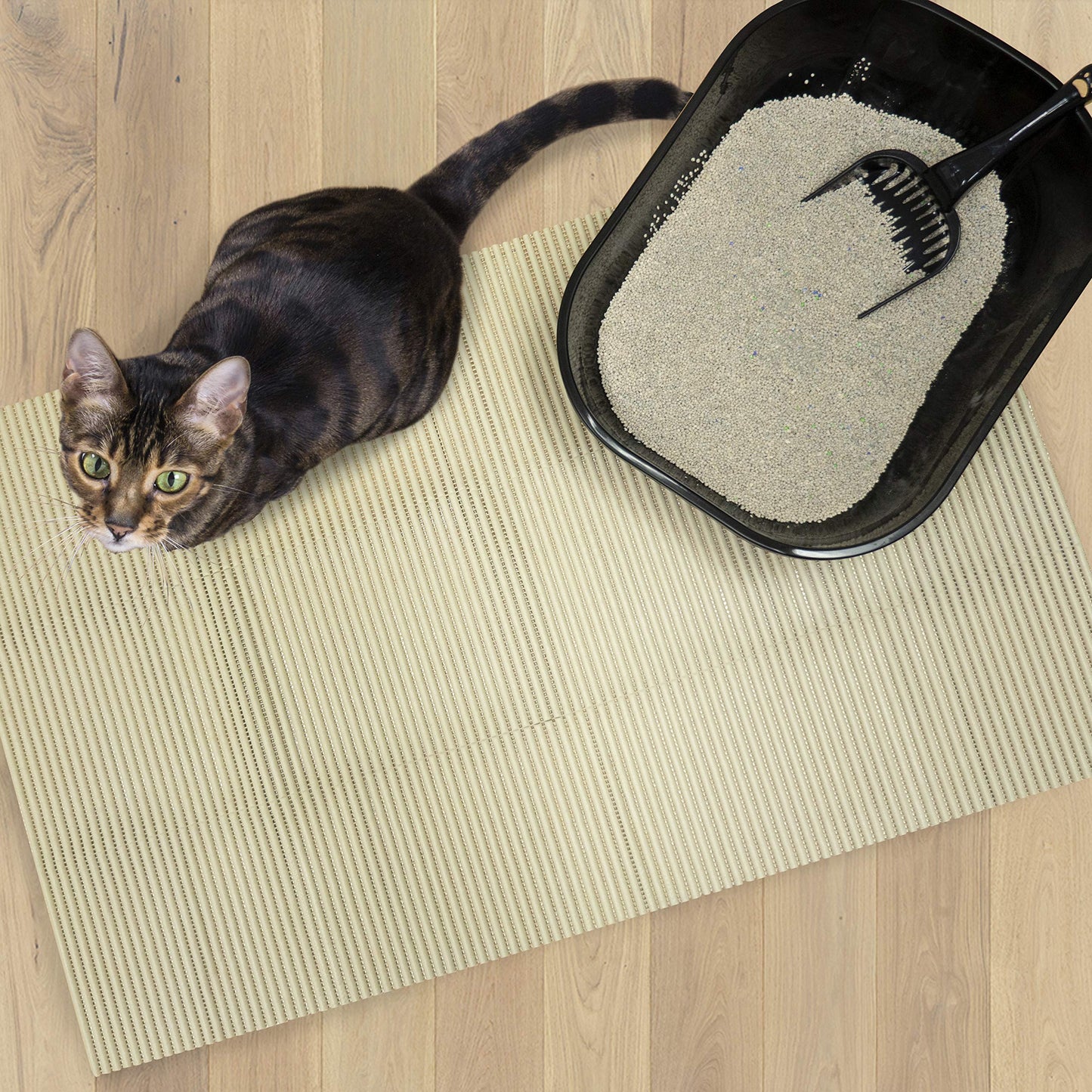 Fresh Kitty Durable XL Jumbo Foam Litter Mat – BPA and Phthalate Free, Water Resistant, Traps Litter from Box, Scatter Control, Easy Clean Mats 40"x25" (9027)