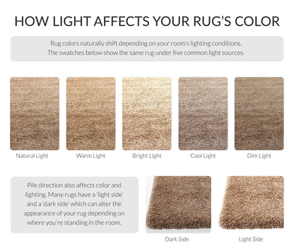 SAFAVIEH Milan Shag Collection Area Rug - 6' x 9', Dark Beige, Solid Design, Non-Shedding & Easy to Clean, Plush Thick Pile, Ideal for Living Room, Bedroom (SG180-1414)