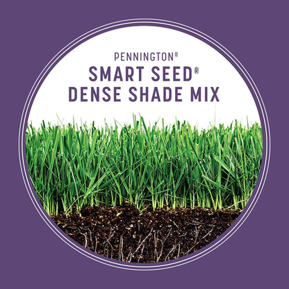 Pennington Smart Seed Dense Shade Mix, Grass Seeds for Lawn, 4/7 lb