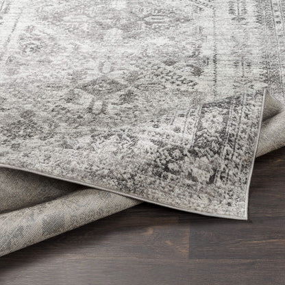 Livabliss Desta Vintage Oriental Area Rug,3'11" x 5'7",Charcoal