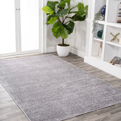 JONATHAN Y Haze Solid Low-Pile Gray Indoor Area Rug 3x5, Coastal,Bohemian,Minimalist,Classic, Easy-Cleaning for Living Room,Bedroom,Kitchen,Pet Friendly,Non-Shedding (SEU100A-3)