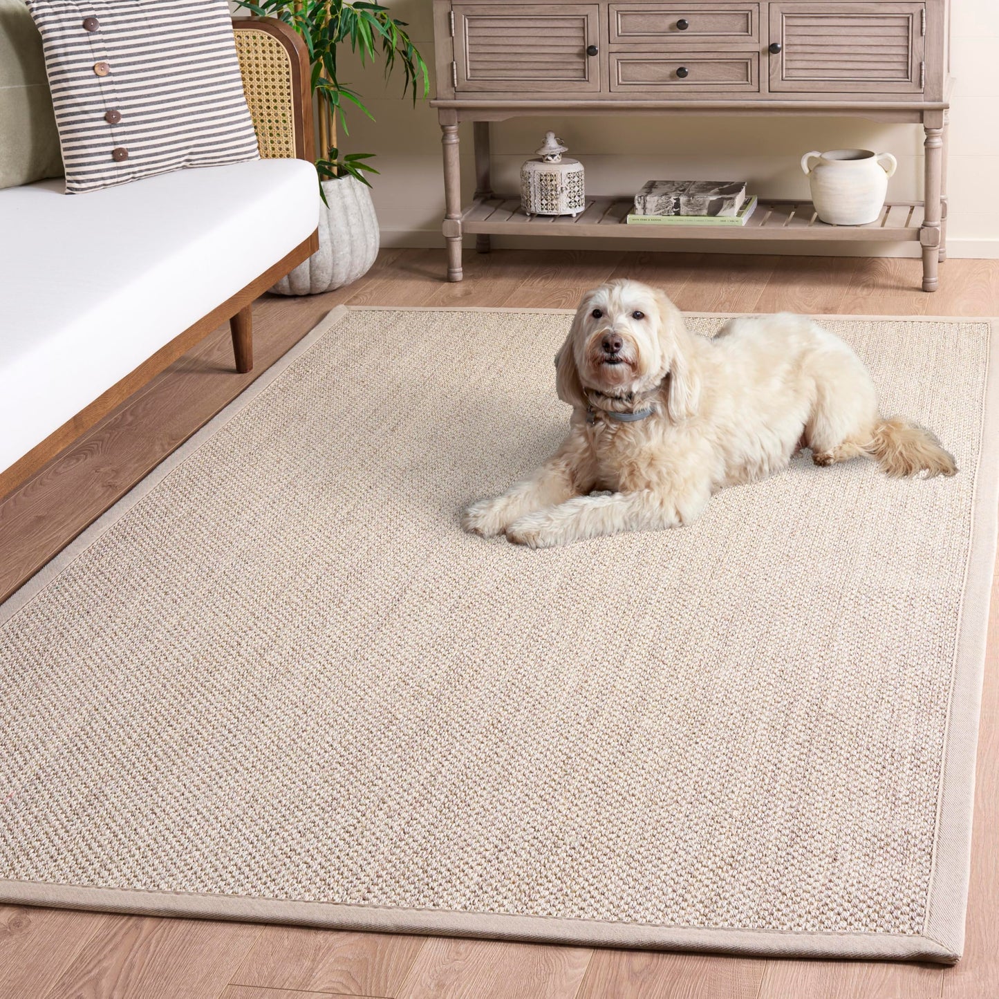 SAFAVIEH Area Rug 5x8 - Natural Fiber Collection - Marble & Beige, Sisal, Woven Design with Border (NF143C)