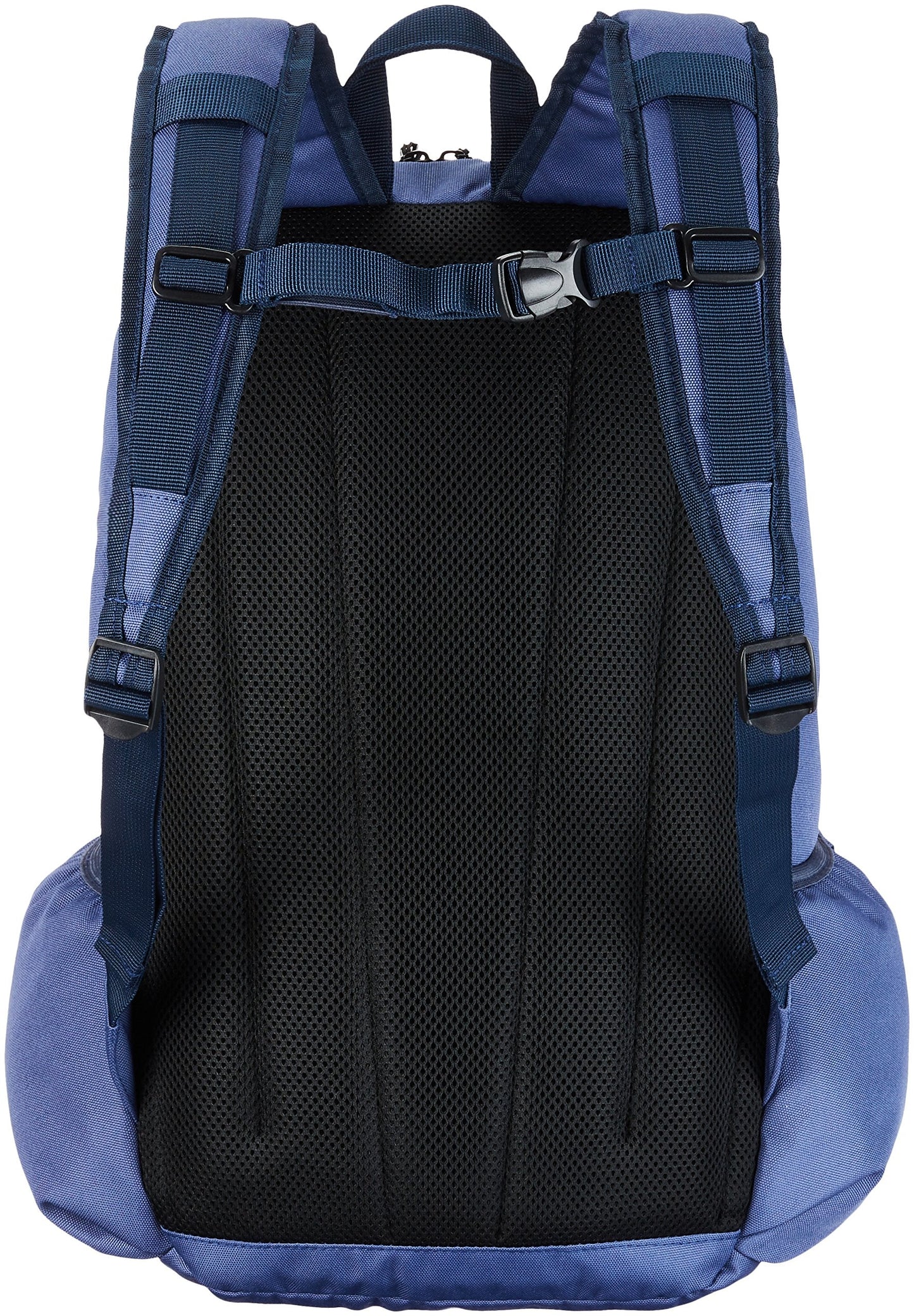 Amazon Basics Canvas Laptop Backpack Bag for up to 15 Inch Laptops - Graphite