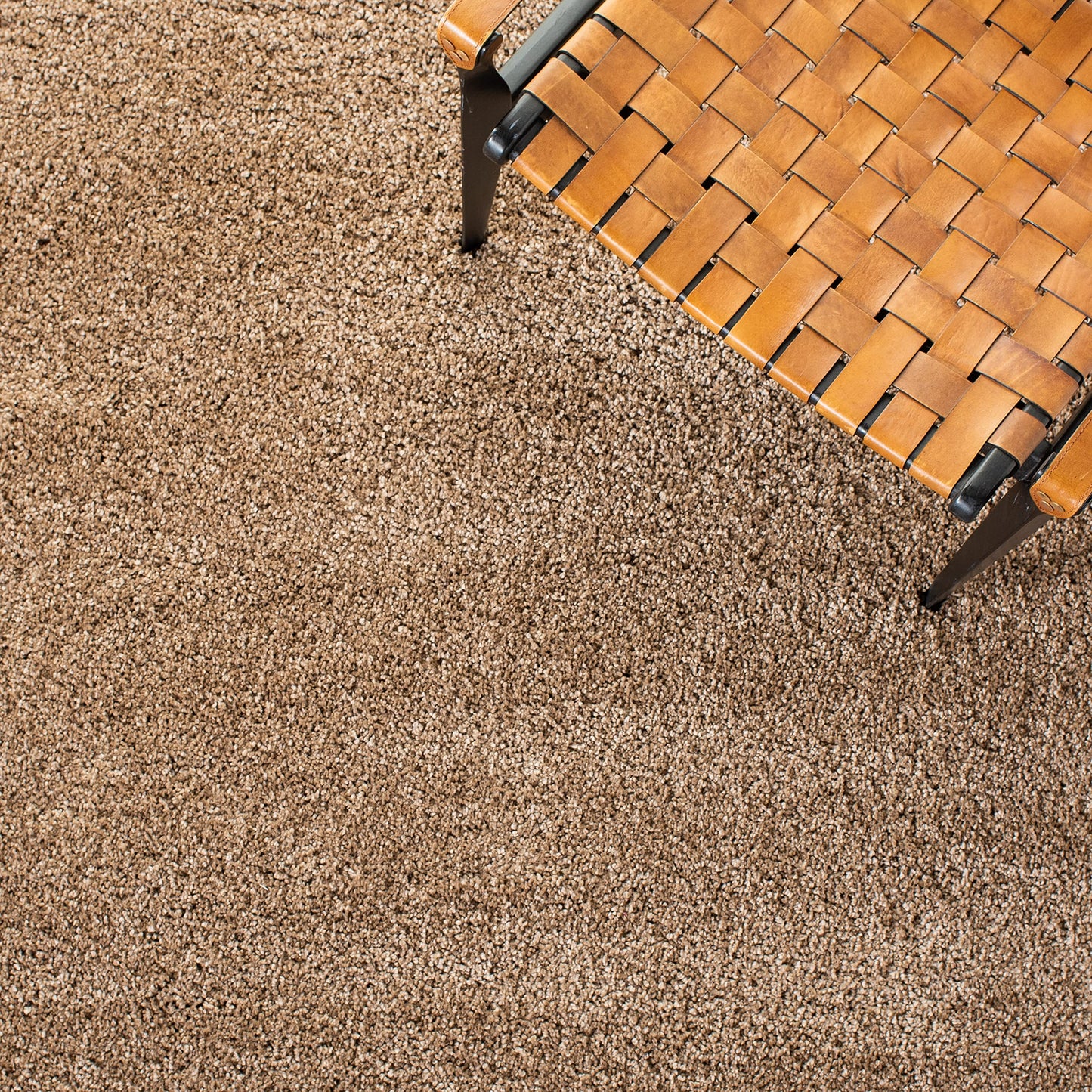 SAFAVIEH Milan Shag Collection Area Rug - 6' x 9', Dark Beige, Solid Design, Non-Shedding & Easy to Clean, Plush Thick Pile, Ideal for Living Room, Bedroom (SG180-1414)