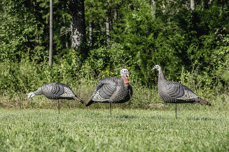 Turkey Decoys 3-Pack Combo Set - Realistic Flock Jake & Feeding Hen | Foldable Hollow Body