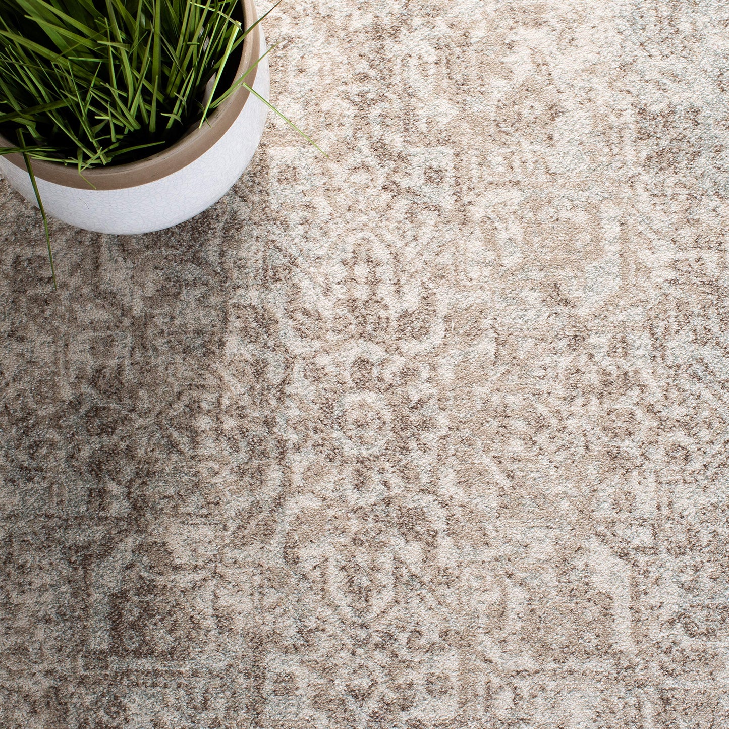 SAFAVIEH Area Rug 8x10 - Evoke Collection - Large - Ivory & Taupe, Distressed Design, Non-Shedding & Easy Cleaning, Ideal for Living Room, Bedroom, Dining Space (EVK256E)