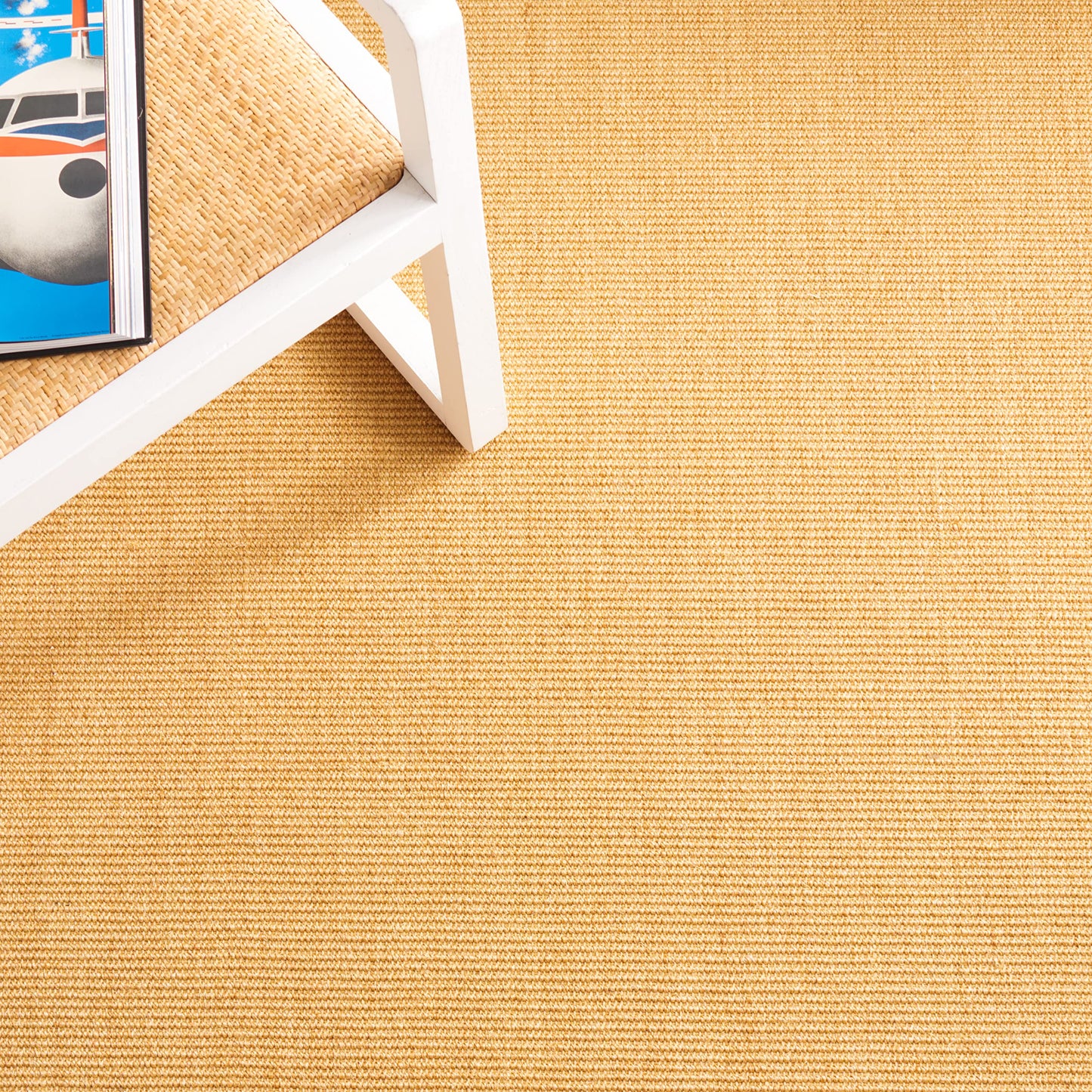 Martha Stewart x SAFAVIEH Area Rug Collection - 6' x 9', Natural & Navy, Sisal & Jute, Farmhouse Style, Ideal for Living Room, Bedroom, Office, Dining Space (MSR9501D)