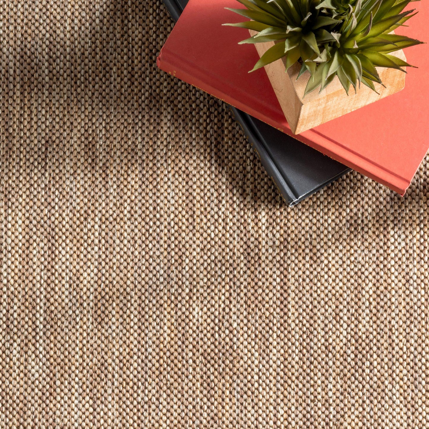 Nuloom Asha Light Brown/Ivory, 4' x 6', Casual, Striped Border, Soft and Cozy, High Traffic, Easy Clean, Durable Area Rug for Indoor/Outdoor Patio, Deck, Porch, Garden, Courtyard